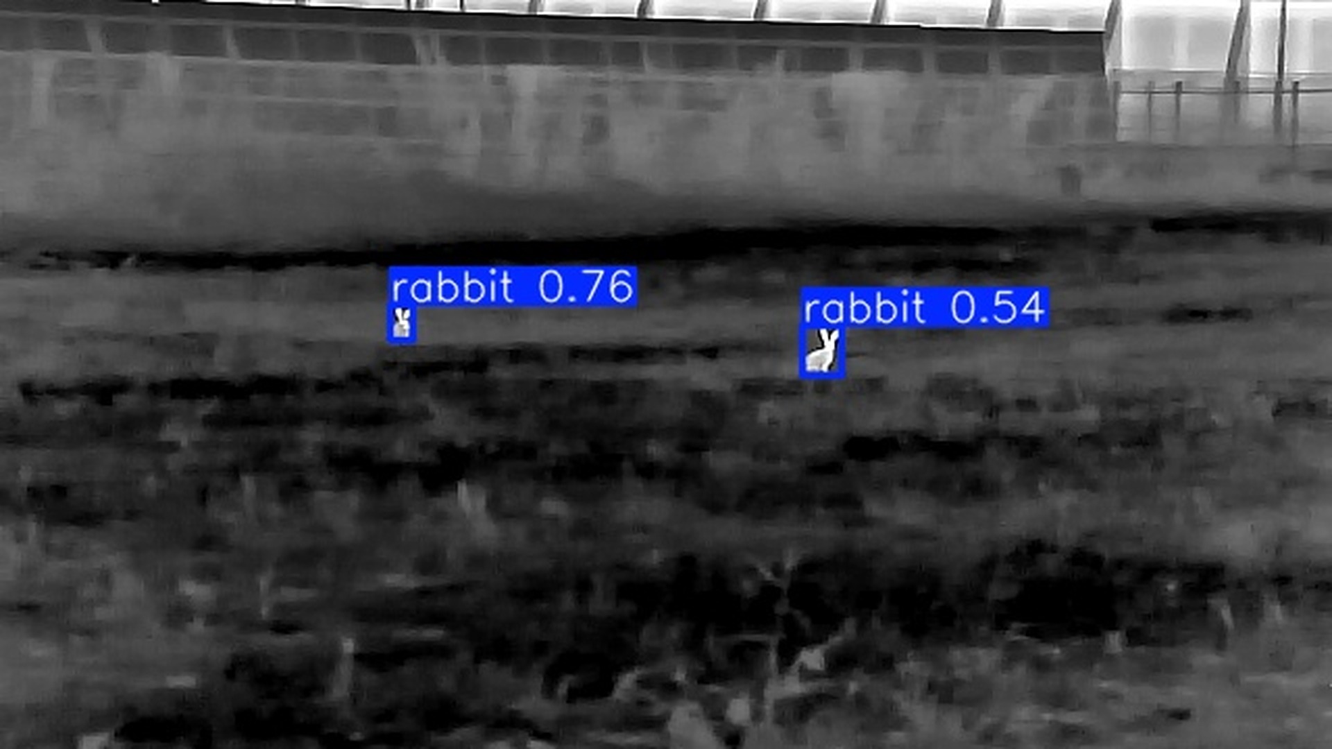 Wildlife Monitoring_5